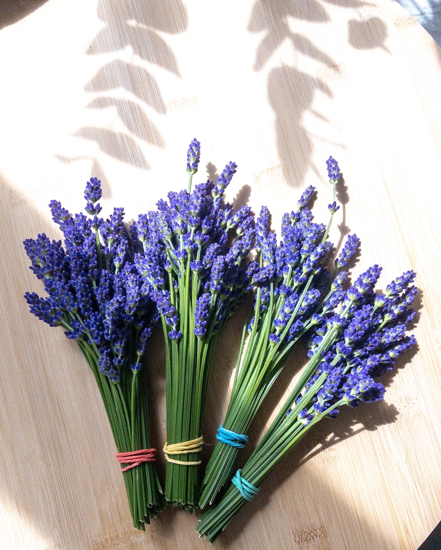 French Lavender Botanical Soap Bar