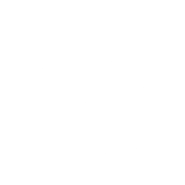 Celtic Flame Savonnerie